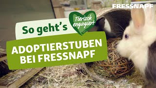 Ein Haustier aus dem Tierheim adoptieren Mit der Fressnapf Adoptierstube [upl. by Lleoj]