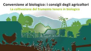 FRUMENTO TENERO  controllo erbe spontanee e qualità della granella nella coltivazione biologica [upl. by Yarised158]