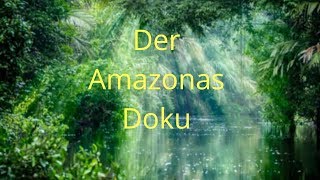 Doku Tiere im AMAZONAS 2019 HD [upl. by O'Brien683]