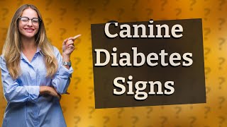 How does a dog act when they have diabetes [upl. by Etteiram]