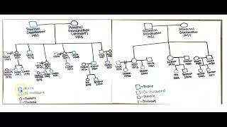 Genogram Project [upl. by Adnirb13]