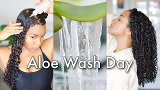 Aloe Vera Curly Hair Wash Routine to Grow Moisturize amp Define Your Curls [upl. by Anstice]