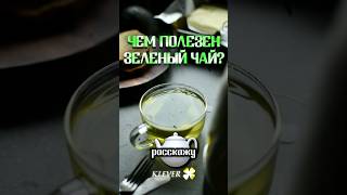 🫖 ПОЛЬЗА ЗЕЛЕНОГО ЧАЯ здоровье медицина чай зеленыйчай рецепты пп [upl. by Anialram]