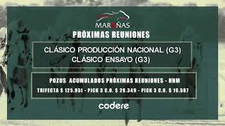 140724 CARRERAS HIPODROMO MARONAS  EN VIVO  URUGUAY [upl. by Enimsaj]