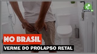 BRASIL VERME CAUSA PROLAPSO RETAL [upl. by Ariela]