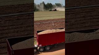 The Peanut Harvest with Harrell AG Products farming peanut farmequipment [upl. by Saito]