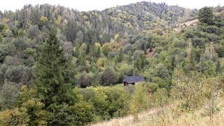 A remote mountain forest cabin far from civilization The hard life of my ancestors [upl. by Einoj616]