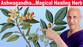 ASHWAGANDHABalance Blood Glucose amp Insulin Stress Thyroid amp Immune System  Dr Mandell [upl. by Burgess467]