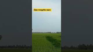 Support Bangladesh 2024 bangladesh beautiful savebangladesh [upl. by Anneh985]