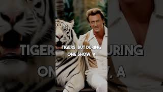 Siegfried amp Roy’s Tiger Attack What Really Happened Behind the Shocking Vegas Incident [upl. by Sisenej]