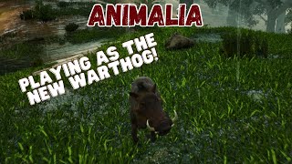 Warthog Gameplay Part 1  Animalia [upl. by Sirenay526]