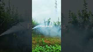 fogger fogging fast mantis farming [upl. by Namref]