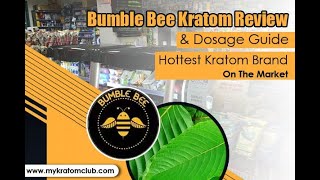 Bumble Bee Kratom Review and Dosage Guide by My Kratom Club [upl. by Einal]