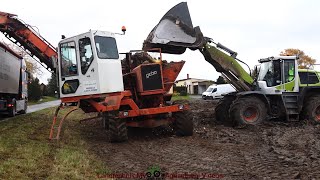 Gebo  Claas  LKW  Rübenverladung  Loading Beets 2023 [upl. by Adnilev152]