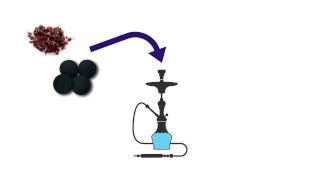 How a Shisha Pipe Works [upl. by Wendell142]