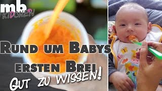 Einführung Babybrei  Wann Wie Warum  Beikost selber kochen  mamiblock kidchen  Der Mami Blog [upl. by Ahsinnek217]