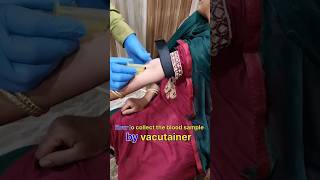 blood sample collection by vacutainer health science youtubeshorts labtech viral neet [upl. by Pomona143]