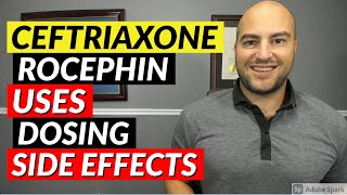 Ceftriaxone Rocephin  Pharmacist Review  Uses Dosing Side Effects [upl. by Anailuig]