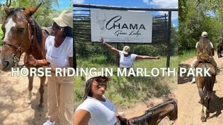 Marloth Park Bush Break Lets go Horse Riding vlog southafricanyoutuber horse [upl. by Akemihs123]