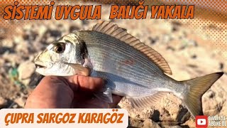 Balık Avı  Çupra Sargoz Karagöz  Sistemi Uygula Balığı Yakala [upl. by Erdnoed798]