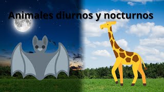 Animales diurnos y nocturnos [upl. by Uah]