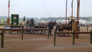 Nesvacil Jiri CZE CH M A4 Alltech FEI WEG Caen Normandy FRA 2014 Marathon O 1 06 09 2014 [upl. by Nomyad]