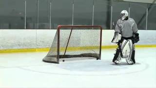 Reebok Ai 9  Pavel Datsyuk Tricks [upl. by Lanna]