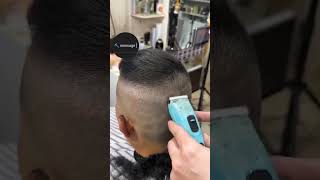 barbershop shavelife animalphotos usa barber letsshave animalpictures cute haircut shaving [upl. by Lednor]