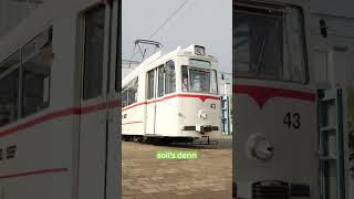 Heiraten 💞 in der Straßenbahn 🚋 [upl. by Phene]