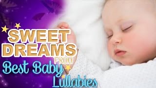 💗LAVENDERS BLUE Dilly Dilly Cinderalla Lullaby for Baby Go To Sleep at Bedtime with Lyrics [upl. by Anaeirb436]