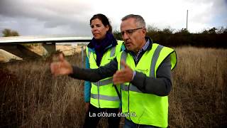 VINCI Autoroutes crée des corridors de déplacement pour la faune sauvage [upl. by Yelsnia]