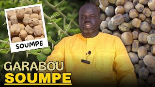 Plante de la Semaine  Ndiariniou Garabou SOUMPE  Pr Ousmane Ndiaye LansarrTV [upl. by Anitsuga]