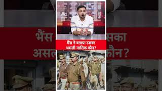 Uttar Pradesh एक भैंस पर दो लोग ठोक रहे थे दावा फिर भैंस ने पुलिस को बताया असली मालिक कौनABPLIVE [upl. by Grega94]