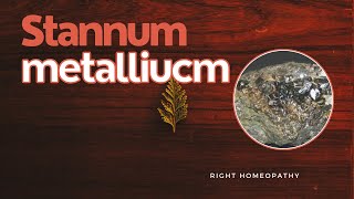 Stannum metallicum  HERF  Right Homeopathy [upl. by Arat]