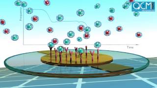 openQCM  Quartz Crystal Microbalance QCM working principle [upl. by Tahmosh]