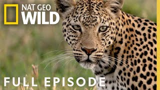 Leopards Rock Full Episode  Savage Kingdom [upl. by Vladamar800]