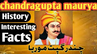 History of Chandragupta Maurya in Urduhindi  Chandragupta Maurya History [upl. by Gilmore]