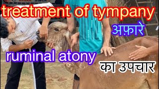 treatment of tympany l bloat l अफारे का उपचार l impaction of rumen l dr umar khan [upl. by Yvon]