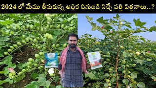 2024 లో నేను వేస్తున్న పత్తి విత్తనాలు  top cotton variety 2024 top cotton seeds in india [upl. by Budd422]