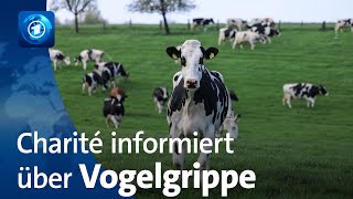 Vogelgrippe Charité informiert über Risiken [upl. by Halet]