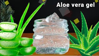 CÓMO HACER GEL DE ALOE VERA CASERO y COMO CONSERVARLO POR AÑOS  GEL DE SÁBILA 100 PURO✅ [upl. by Alli]