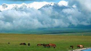 Ayanchin  Mongol Magtaal [upl. by Conte]