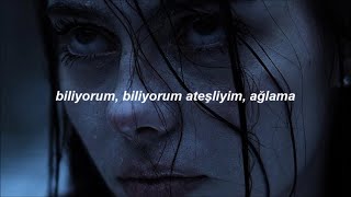 Sickick  Intro Infected Türkçe Çeviri [upl. by Aikenat]