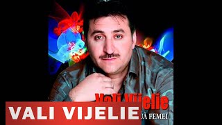 Vali Vijelie  Vino in bratele mele [upl. by Ganiats205]