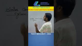 Water Canal and Water Vascular System neet neetaspirants biologybook neetexam mbbs [upl. by Fifine273]