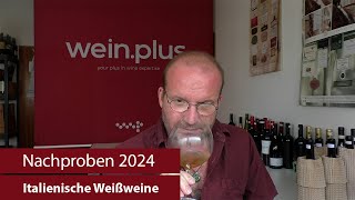 Nachproben 2024  Italienische Weißweine [upl. by Itsuj585]