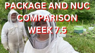 Package and nuc comparison after 7 5 weeks [upl. by Ramed897]