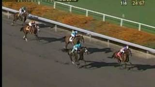 Zenyatta A Perfect 19 For 19 After Victory In Ladys Secret [upl. by Ysor]