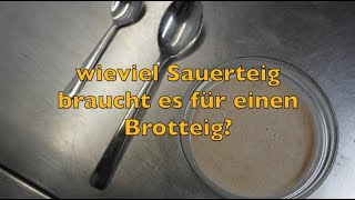 Sauerteig Profiwissen wie viel Sauerteig braucht es um einen Brotteig zu säuern [upl. by Adniuqal313]