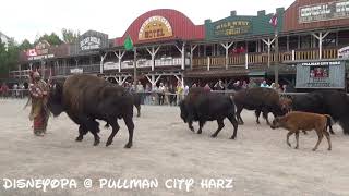 Pullman City Harz Shows Buffalo Bills Wild West Show DisneyOpa [upl. by Aierbma267]